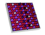 Fullspectrum led lamp nu met 10,00 euro korting