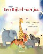 Een bijbel voor jou 9789026620416 Sally Ann Wright, Verzenden, Gelezen, Sally Ann Wright
