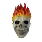 Ghost Rider masker, Nieuw, Verzenden