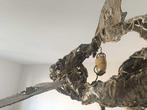 Guy Fautsch (XX) - Requin métal collection, Antiek en Kunst