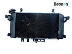 Radiateur Suzuki SFV 650 Gladius (SFV650), Verzenden, Gebruikt