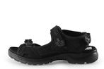 Ecco Sandalen in maat 39 Zwart | 10% korting, Kleding | Dames, Schoenen, Ecco, Verzenden, Zwart, Sandalen of Muiltjes