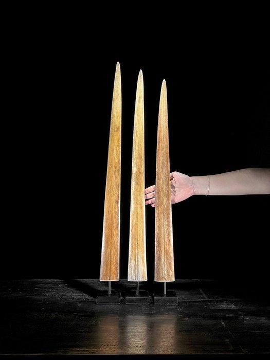 Geen reserveprijs - Grote set van 3 zwaardvisrostrums op op, Antiek en Kunst, Kunst | Designobjecten