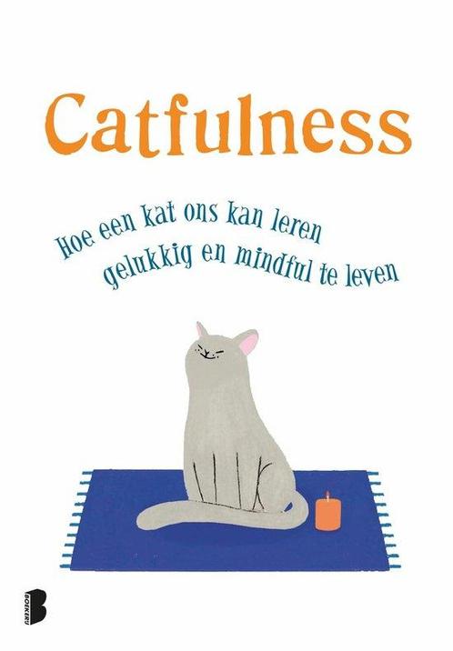 9789022581216 Catfulness | Tweedehands, Boeken, Studieboeken en Cursussen, Zo goed als nieuw, Verzenden
