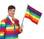 Regenboog Vlag Stok 45cm, Verzenden, Nieuw