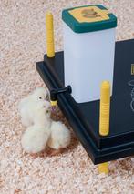 Kuikendrinkfles met klapdeksel 1 liter, Dieren en Toebehoren, Ophalen of Verzenden, Nieuw