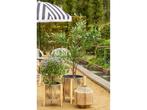 In The Mood Collection Osborn Parasol - H238 x Ø220 cm -, Tuin en Terras, Parasols, Verzenden, Nieuw