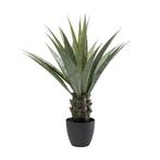 *WOONWINKEL* Kare Design Agave Kunstplant Agave, Verzenden, Nieuw