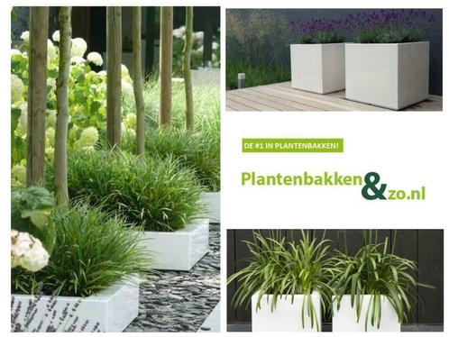 Polyester plantenbakken; licht van gewicht, scherp geprijsd, Tuin en Terras, Bloembakken en Plantenbakken, Nieuw, Kunststof, Binnen