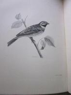 Charles Stonham / Lilian M. Medland - The Birds of the, Antiek en Kunst