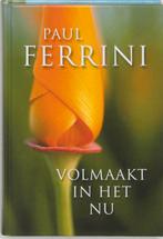 Volmaakt in het nu 9789020283716 Paul Ferrini, Boeken, Verzenden, Gelezen, Paul Ferrini