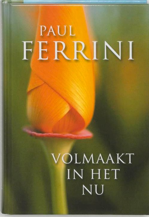 Volmaakt in het nu 9789020283716 Paul Ferrini, Boeken, Esoterie en Spiritualiteit, Gelezen, Verzenden