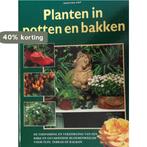Planten in potten en bakken 9789062487899 Martina Hop, Boeken, Verzenden, Zo goed als nieuw, Martina Hop