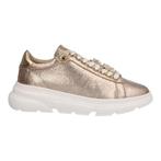 -40% Roberto dAngelo  Roberto dAngelo Jacky  maat 40, Kleding | Dames, Schoenen, Verzenden, Nieuw