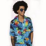 Hawaii Blouse Zomer Blauw Toppers - 54, Kleding | Dames, Carnavalskleding en Feestkleding, Verzenden, Nieuw