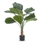 Kunstplant Lucuala Grandis Waaierpalm | 120cm, Ophalen, Nieuw