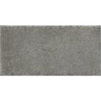 Vloertegel Antraciet 60x60cm (Vloeren, Afbouwmaterialen), Doe-het-zelf en Verbouw, Tegels, 60 cm of meer, Nieuw, Ophalen of Verzenden