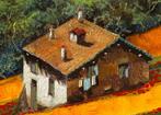 Guido Borelli - carolina