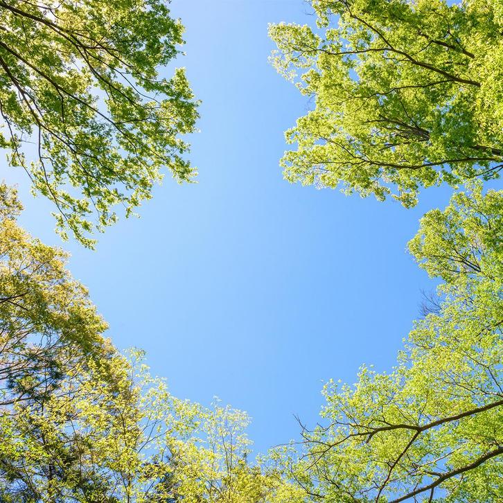 Wolkenplafond Acrylplaat - 60x60 - Bomen, Huis en Inrichting, Lampen | Spots, Plafondspot of Wandspot, Nieuw, Led, Ophalen of Verzenden