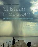 Stilstaan in de storm 9789401411646 Monique Veerkamp, Boeken, Verzenden, Zo goed als nieuw, Monique Veerkamp