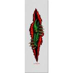 Powell Peralta Griptape Dragon Peeker Clear, Verzenden, Nieuw