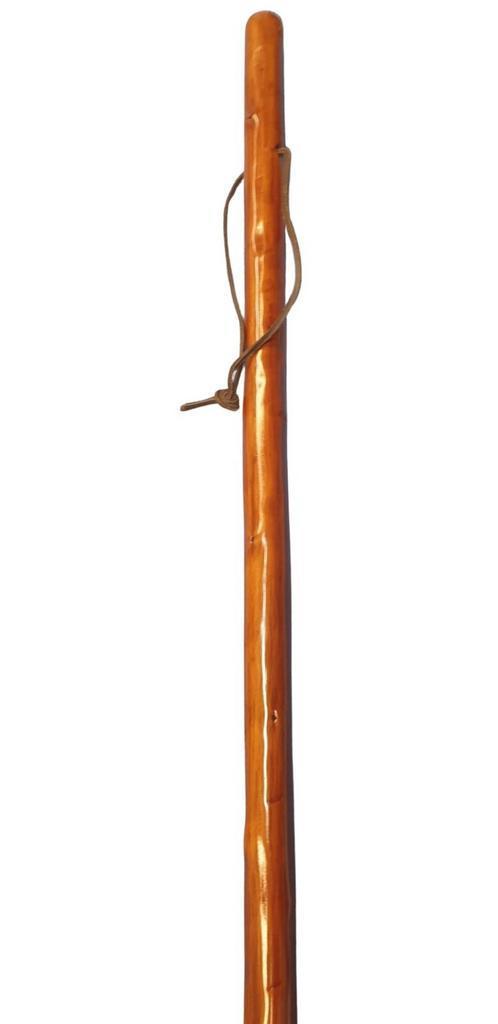 Wandelstok - Pelgrimsstok van Edel Kastanje met bergpunt, Diversen, Wandelstokken, Nieuw, Verzenden