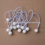 Elastiek met bal 12-delig wit lengte 17 cm / tentspanner, Ophalen of Verzenden, Nieuw