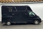 Peugeot Boxer Flex Horsetruck, Verzenden, Gebruikt