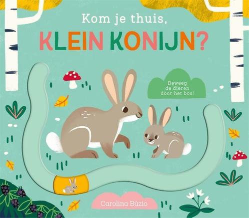 Boek: Kom je thuis, klein konijn? - (als nieuw), Boeken, Kinderboeken | Baby's en Peuters, Zo goed als nieuw, Verzenden
