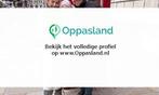 Melanie zoekt een oppas in Leerdam voor 1 kind voor 7 dag..., Vacatures, Vacatures | Schoonmaak en Facilitaire diensten