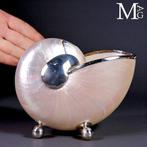 Kabinet der curiositeiten Parelmoeren Nautilus – Zilveren