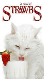 cd box - Strawbs - A Taste Of Strawbs, Cd's en Dvd's, Verzenden, Zo goed als nieuw
