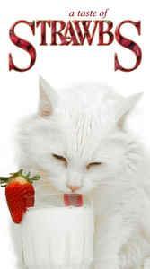 cd box - Strawbs - A Taste Of Strawbs, Cd's en Dvd's, Cd's | Rock, Zo goed als nieuw, Verzenden