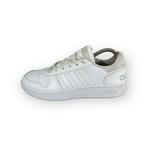 adidas Hoops 2.0 - Maat 37.5, Kleding | Dames, Sneakers of Gympen, Gedragen, Verzenden, Adidas