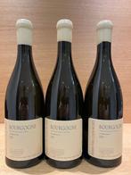 2021 Pierre-Yves Colin-Morey - Bourgogne Chardonnay - 3, Nieuw