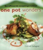 ONE POT WONDERS 9789055017911 C. Gallagher, Verzenden, Gelezen, C. Gallagher