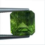 Zonder Minimumprijs - 1 pcs Groen Olivijn - 7.30 ct -, Nieuw