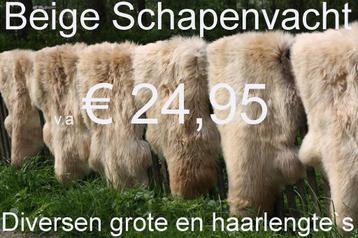 Schapenvacht BEIGE schapenvel schapenhuid  € 24,95 GROOT ASS beschikbaar voor biedingen