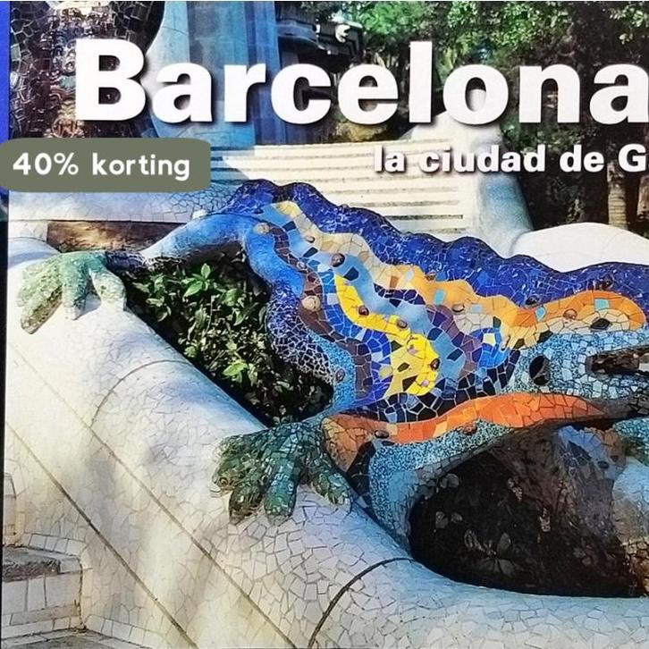 Barcelona - La Ciudad de Gaudi 9788489815421 Llàtzer Moix, Boeken, Overige Boeken, Gelezen, Verzenden
