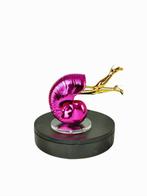 Sagrasse (1966) - Curiosity is woman