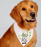 Honden bandana Promoted to Big Brother, Verzenden, Nieuw