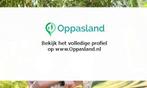 Miranda zoekt een oppas in Amsterdam voor 1 kind voor 4 d..., Vacatures, Goede doelen en Vrijwilligerswerk