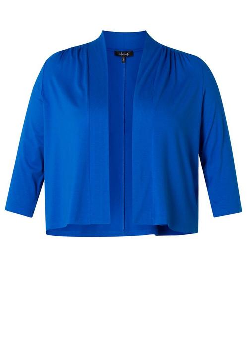 COLLETTA vest Maat:, Kleding | Dames, Truien en Vesten, Overige kleuren, Nieuw, Verzenden