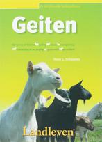 Geiten / Praktijkreeks hobbydieren / 2 9789087400040, Verzenden, Zo goed als nieuw, H.L. Schippers