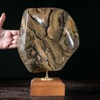 Fossiele barnsteenmonster uit Sumatra - Zeldzaam exemplaar, Verzamelen