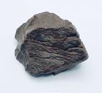 Niet-geclassificeerde NWA meteoriet Chondrite meteoriet -