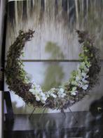 Frame moon 50 cm ongelakt per stuk laatste exemplaren, Ophalen of Verzenden, Nieuw