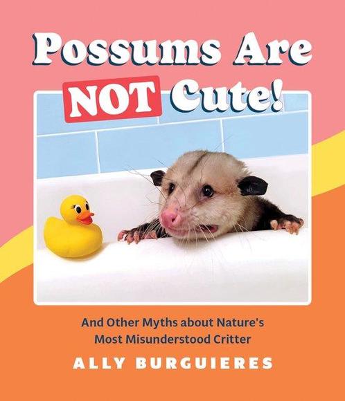 9781683692997 Possums Are Not Cute Ally Burguieres, Boeken, Studieboeken en Cursussen, Nieuw, Verzenden