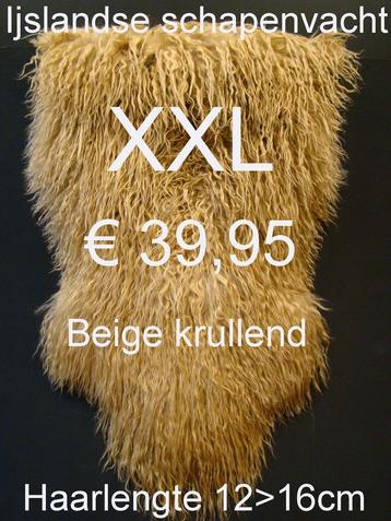 Schapenvacht met krulletjes XXL KRULLEN schapenvel € 39,95 beschikbaar voor biedingen