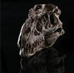 Replica Tyrannosaurus Skull - Taxidermie replica montage -, Verzamelen, Dierenverzamelingen, Nieuw